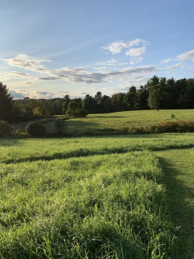 Vaughan Woods State Park - South Berwick, ME