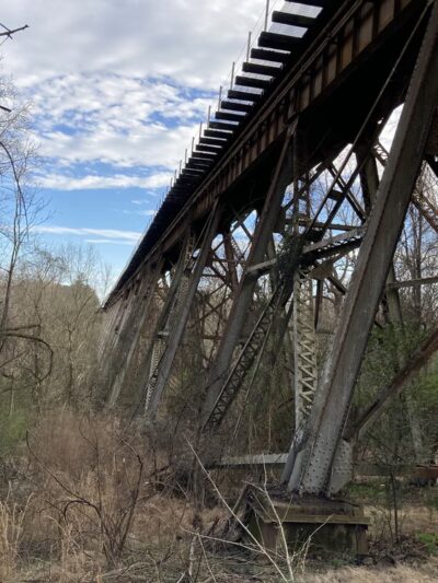 Appomattox River Trail/VSU Trail Head - South Chesterfield, VA