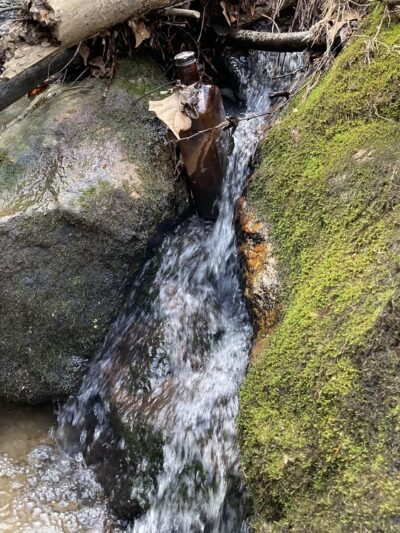 Appomattox River Trail/VSU Trail Head - South Chesterfield, VA