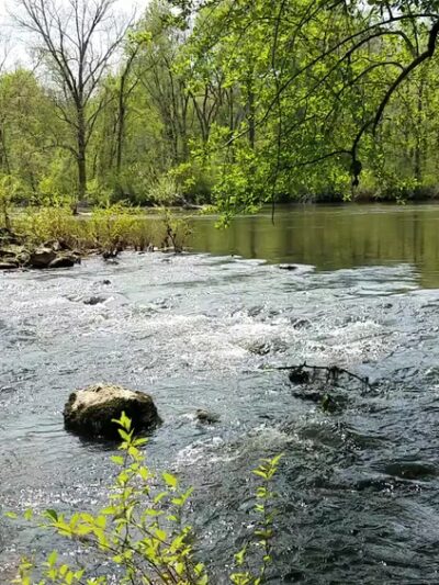 Appomattox River Trail/VSU Trail Head - South Chesterfield, VA