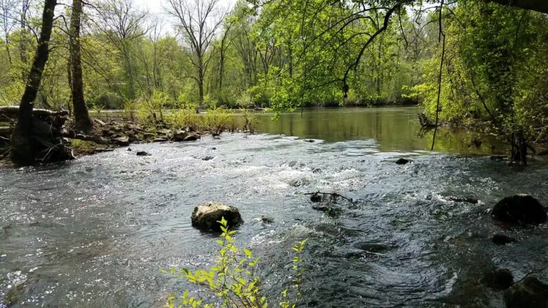 Appomattox River Trail/VSU Trail Head - South Chesterfield, VA