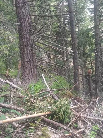 Bullfrog Trailhead - South Cle Elum, WA
