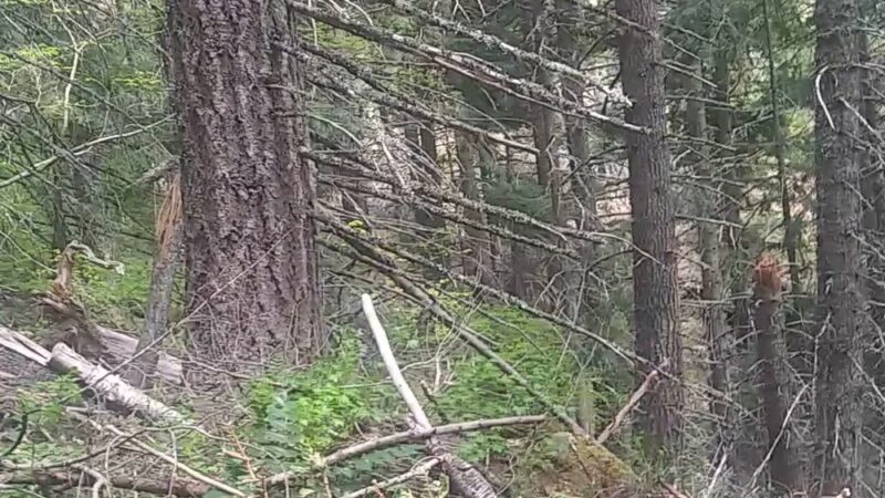 Bullfrog Trailhead - South Cle Elum, WA
