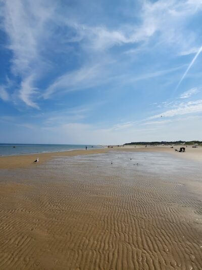 Cold Storage Beach - South Dennis, MA