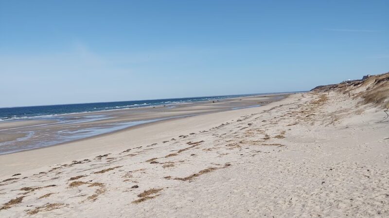 Cold Storage Beach - South Dennis, MA