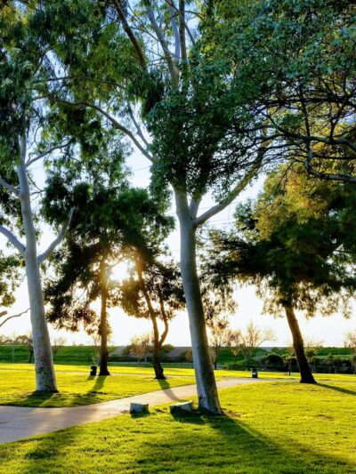 Hollydale Regional Park - South Gate, CA