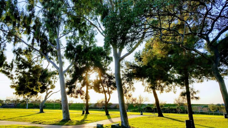 Hollydale Regional Park - South Gate, CA