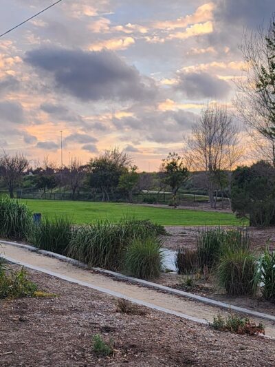 Hollydale Regional Park - South Gate, CA