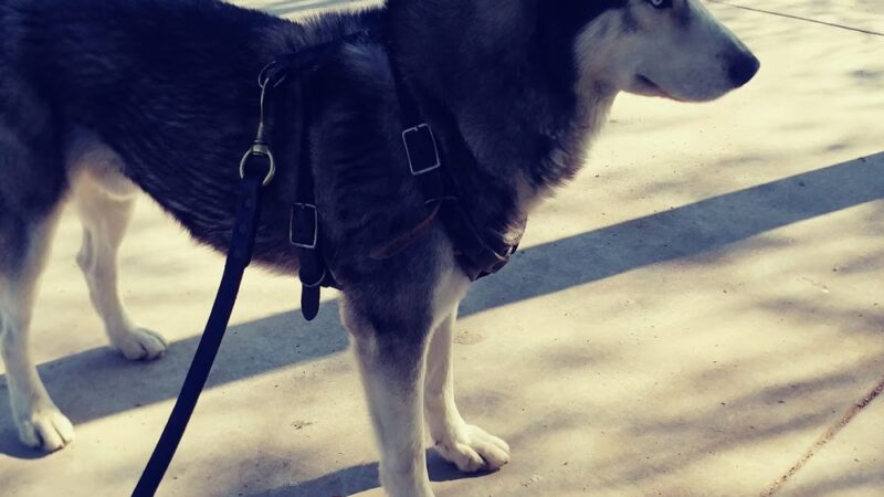 Stanford Avenue Park - South Gate, CA