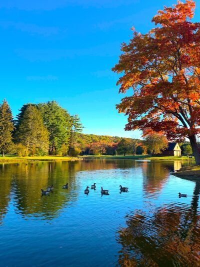 Patton Park - South Hamilton, MA