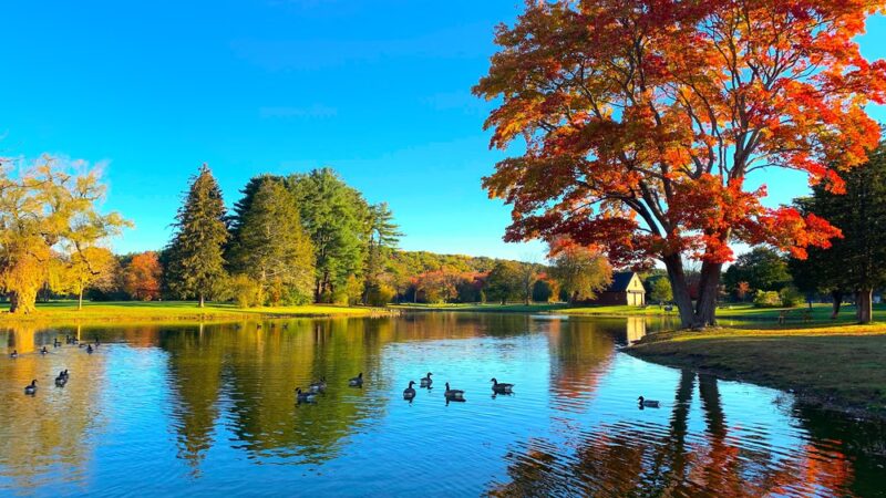 Patton Park - South Hamilton, MA