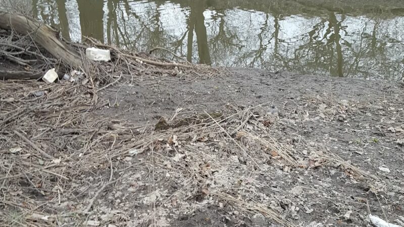 Riverfront Park - South Holland, IL