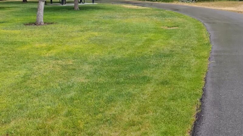 Shields Lane Park - South Jordan, UT