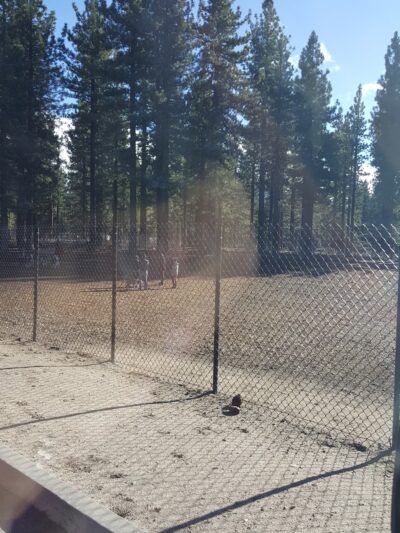 Barnes Yard Dog Agility Park - South Lake Tahoe, CA