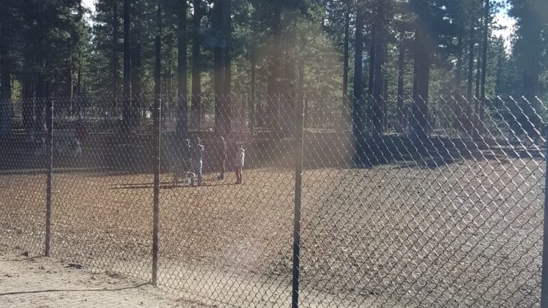 Barnes Yard Dog Agility Park - South Lake Tahoe, CA