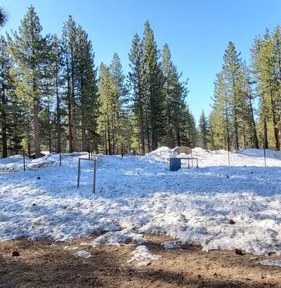 Barnes Yard Dog Agility Park - South Lake Tahoe, CA
