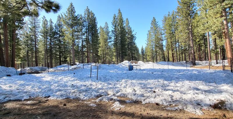 Barnes Yard Dog Agility Park - South Lake Tahoe, CA
