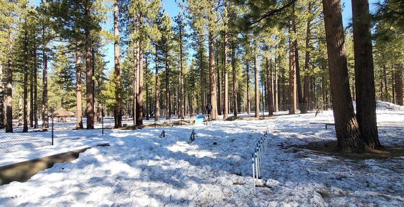 Barnes Yard Dog Agility Park - South Lake Tahoe, CA