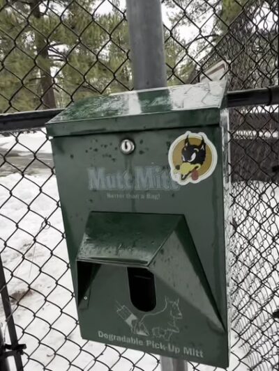 Bijou Dog Park - South Lake Tahoe, CA