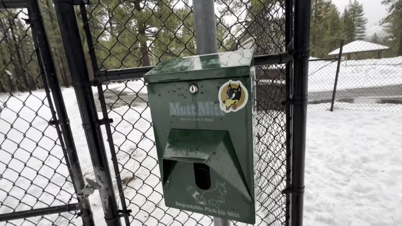 Bijou Dog Park - South Lake Tahoe, CA