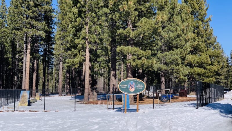Bijou Dog Park - South Lake Tahoe, CA