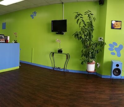 R K Dog Grooming LLC - South Ozone Park, NY