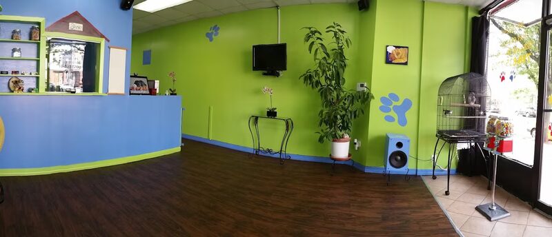 R K Dog Grooming LLC - South Ozone Park, NY