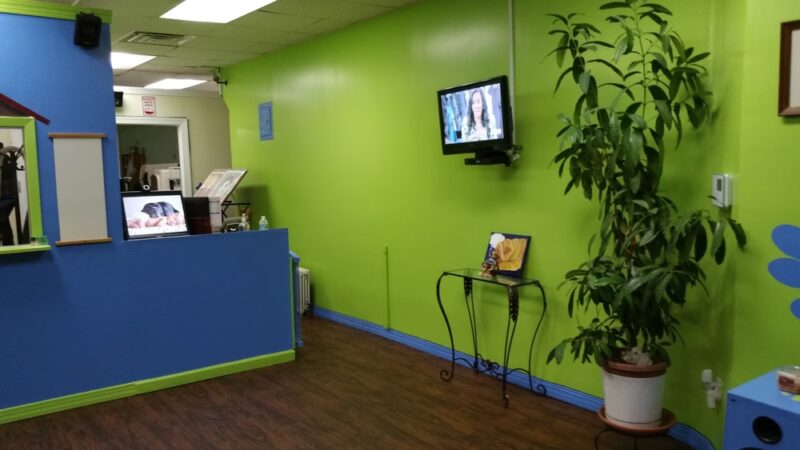 R K Dog Grooming LLC - South Ozone Park, NY