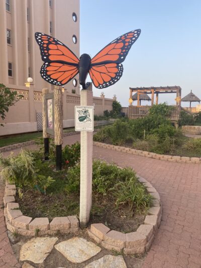 Butterfly Park - South Padre Island, TX