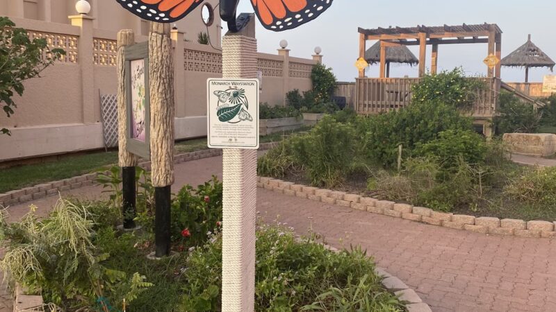 Butterfly Park - South Padre Island, TX