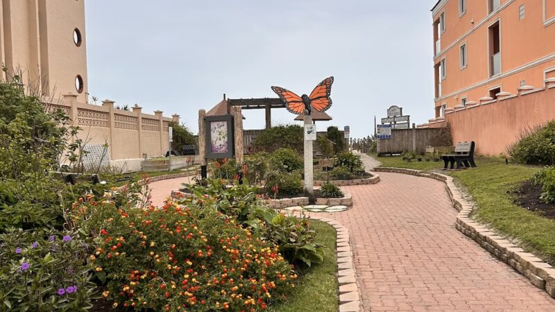 Butterfly Park - South Padre Island, TX