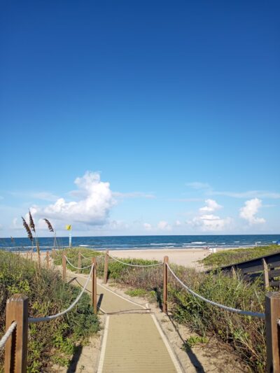 Butterfly Park - South Padre Island, TX