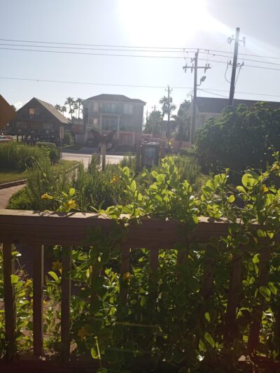 Butterfly Park - South Padre Island, TX