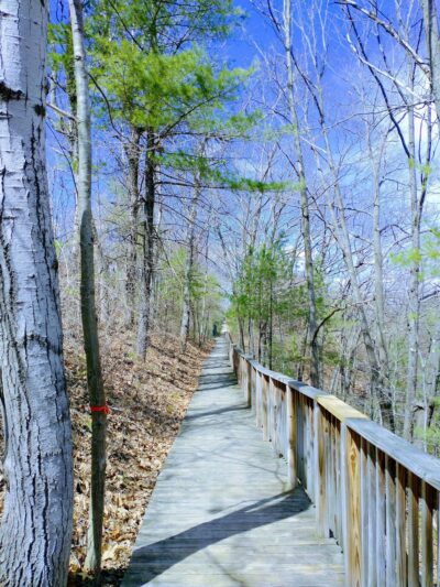 Riverside Trail - South Paris, ME
