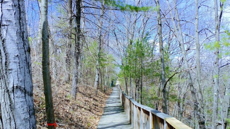 Riverside Trail - South Paris, ME