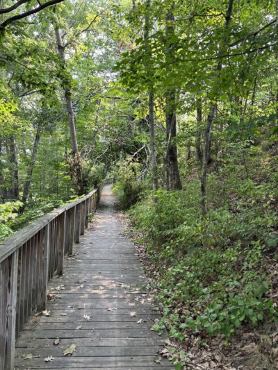 Riverside Trail - South Paris, ME