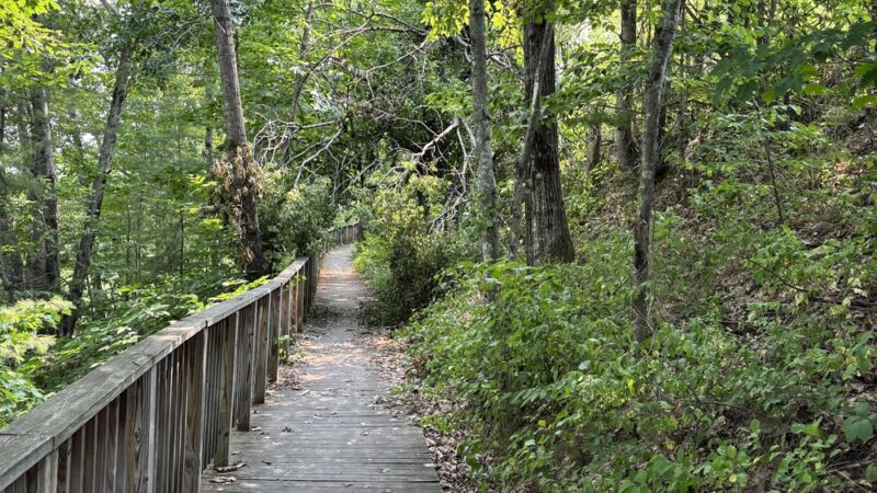 Riverside Trail - South Paris, ME