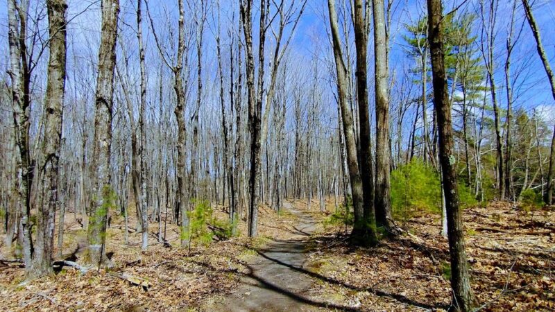 Riverside Trail - South Paris, ME