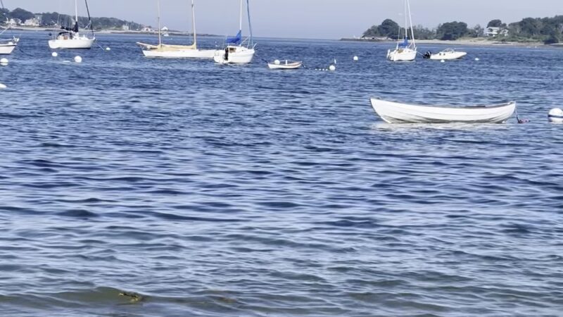 Willard Beach - South Portland, ME
