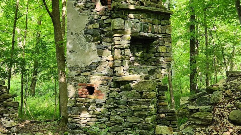 Leon Levy Preserve - South Salem, NY