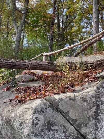 Leon Levy Preserve - South Salem, NY