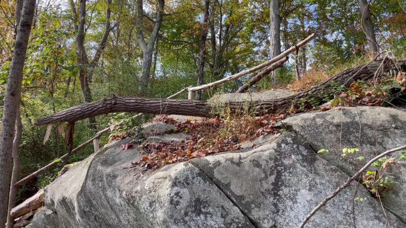 Leon Levy Preserve - South Salem, NY