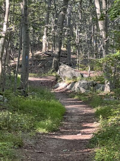 Leon Levy Preserve - South Salem, NY
