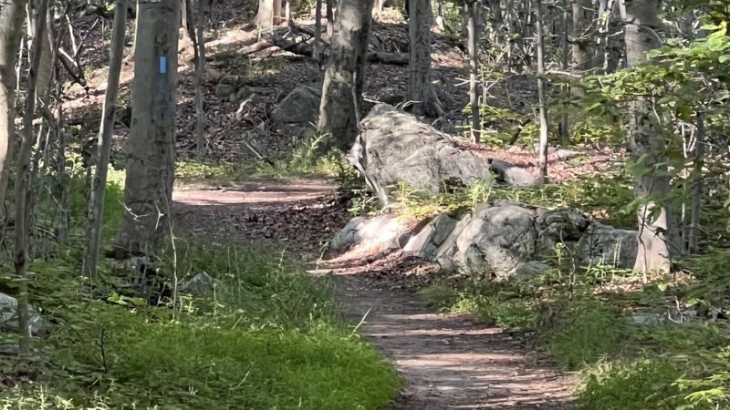 Leon Levy Preserve - South Salem, NY