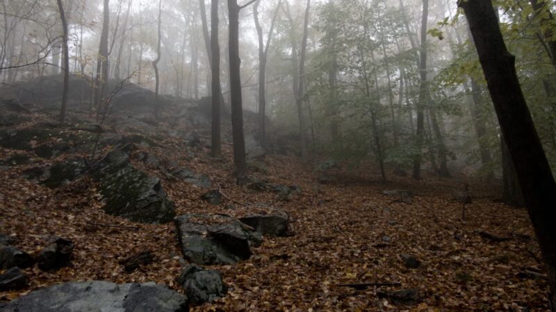 Lookout Point - South Salem, NY