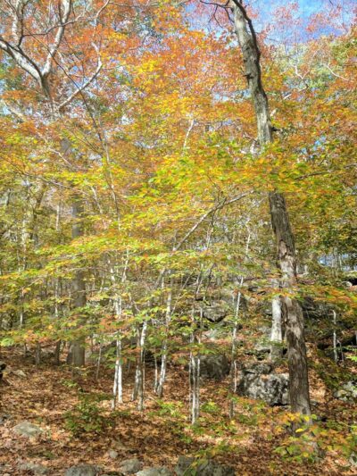 Lookout Point - South Salem, NY