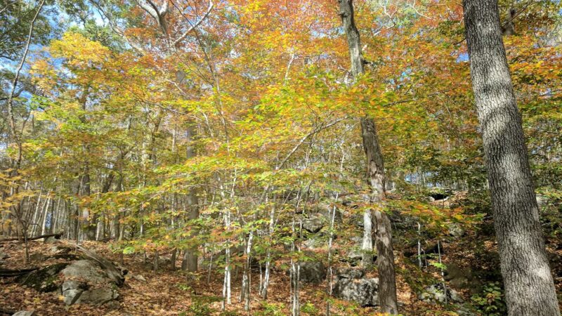 Lookout Point - South Salem, NY