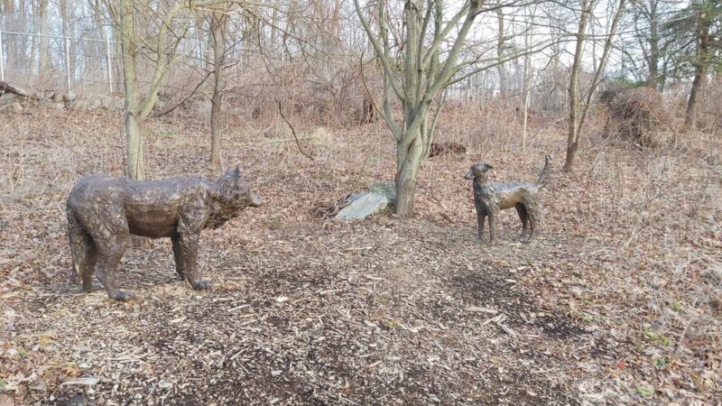 Wolf Conservation Center - South Salem, NY