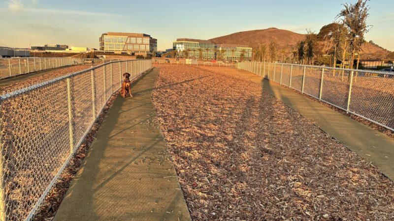 Oyster Point Dog Park - South San Francisco, CA