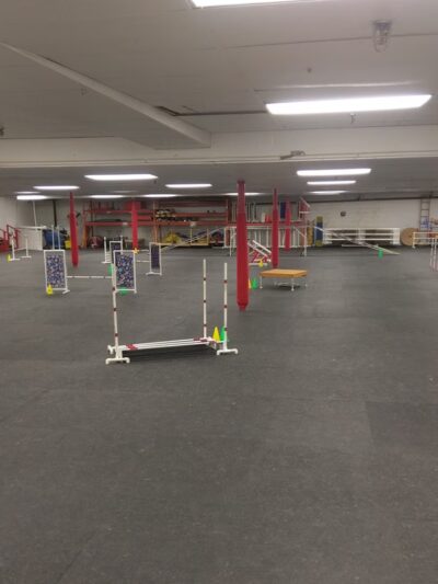 St Paul Dog Training Club - South St Paul, MN